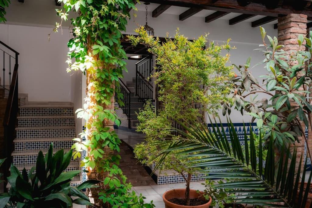 Qh Caldeleria Vieja Apartment Granada Luaran gambar
